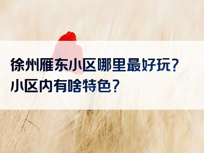 徐州雁东小区哪里最好玩？小区内有啥特色？