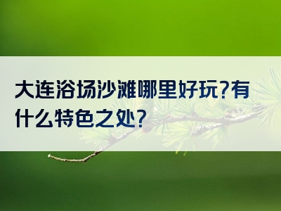 大连浴场沙滩哪里好玩？有什么特色之处？