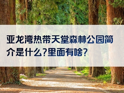 亚龙湾热带天堂森林公园简介是什么？里面有啥？