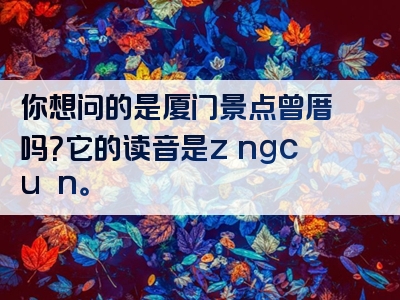 你想问的是厦门景点曾厝垵吗？它的读音是zēngcuòān。