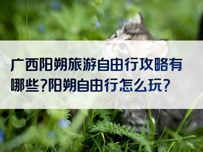 广西阳朔旅游自由行攻略有哪些？阳朔自由行怎么玩？
