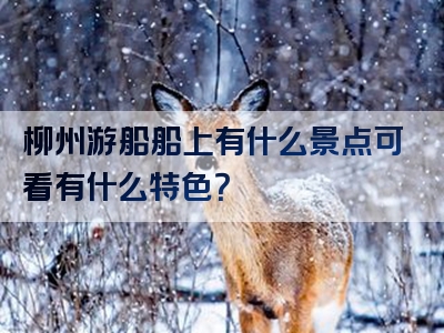 柳州游船船上有什么景点可看有什么特色？