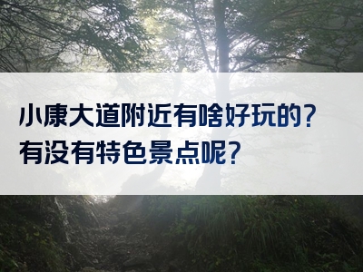 小康大道附近有啥好玩的？有没有特色景点呢？