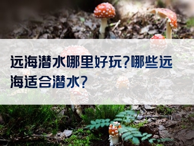 远海潜水哪里好玩？哪些远海适合潜水？