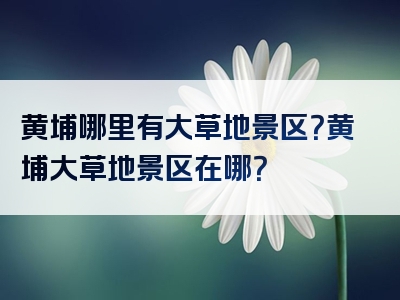 黄埔哪里有大草地景区？黄埔大草地景区在哪？