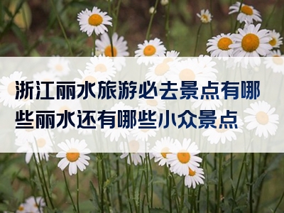 浙江丽水旅游必去景点有哪些丽水还有哪些小众景点