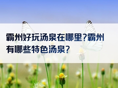霸州好玩汤泉在哪里？霸州有哪些特色汤泉？