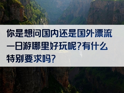 你是想问国内还是国外漂流一日游哪里好玩呢？有什么特别要求吗？