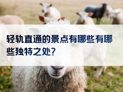 轻轨直通的景点有哪些有哪些独特之处？