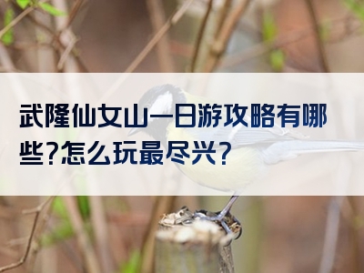 武隆仙女山一日游攻略有哪些？怎么玩最尽兴？
