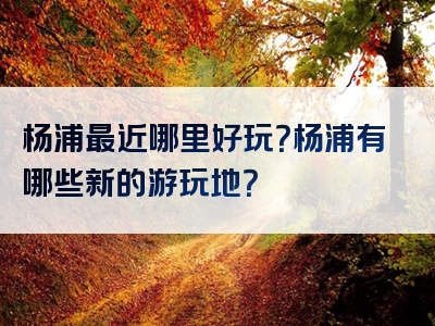 杨浦最近哪里好玩？杨浦有哪些新的游玩地？