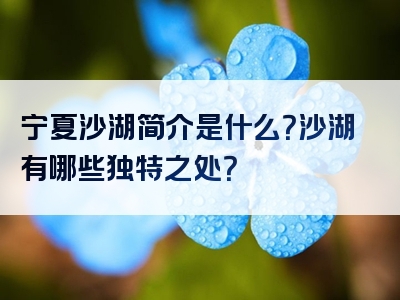 宁夏沙湖简介是什么？沙湖有哪些独特之处？
