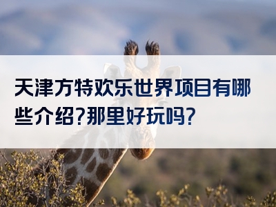 天津方特欢乐世界项目有哪些介绍？那里好玩吗？