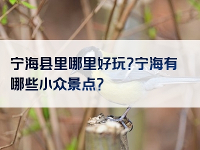宁海县里哪里好玩？宁海有哪些小众景点？