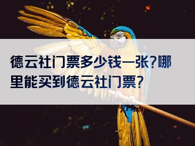 德云社门票多少钱一张？哪里能买到德云社门票？