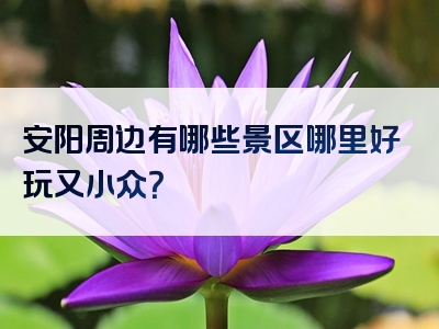 安阳周边有哪些景区哪里好玩又小众？