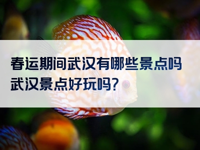 春运期间武汉有哪些景点吗武汉景点好玩吗？
