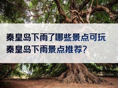 秦皇岛下雨了哪些景点可玩秦皇岛下雨景点推荐？