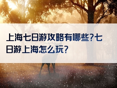 上海七日游攻略有哪些？七日游上海怎么玩？