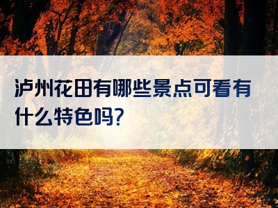 泸州花田有哪些景点可看有什么特色吗？