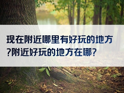 现在附近哪里有好玩的地方？附近好玩的地方在哪？
