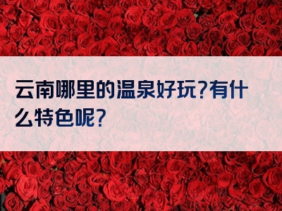 云南哪里的温泉好玩？有什么特色呢？