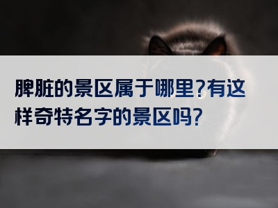 脾脏的景区属于哪里？有这样奇特名字的景区吗？