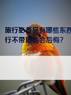 旅行必备品有哪些东西？旅行不带哪些会后悔？