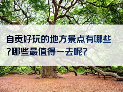 自贡好玩的地方景点有哪些？哪些最值得一去呢？
