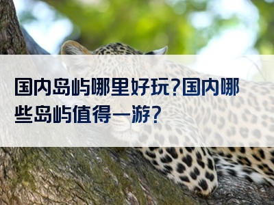 国内岛屿哪里好玩？国内哪些岛屿值得一游？