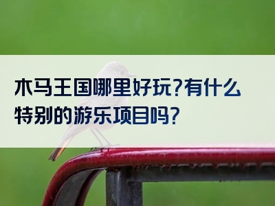 木马王国哪里好玩？有什么特别的游乐项目吗？