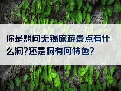 你是想问无锡旅游景点有什么洞？还是洞有何特色？