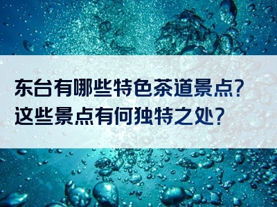 东台有哪些特色茶道景点？这些景点有何独特之处？