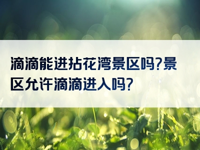 滴滴能进拈花湾景区吗？景区允许滴滴进入吗？