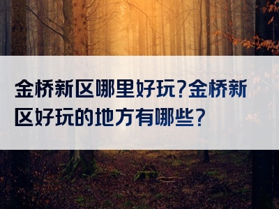 金桥新区哪里好玩？金桥新区好玩的地方有哪些？