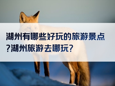 湖州有哪些好玩的旅游景点？湖州旅游去哪玩？