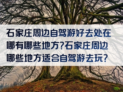 石家庄周边自驾游好去处在哪有哪些地方？石家庄周边哪些地方适合自驾游去玩？