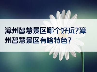 漳州智慧景区哪个好玩？漳州智慧景区有啥特色？