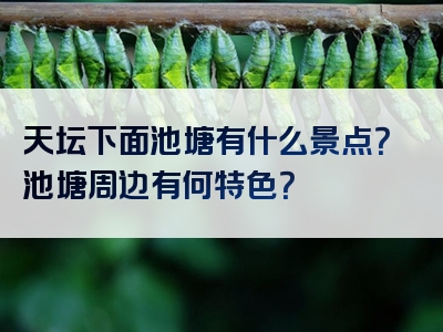 天坛下面池塘有什么景点？池塘周边有何特色？