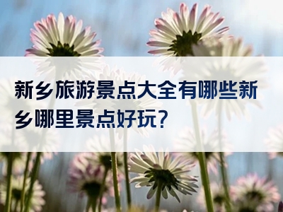 新乡旅游景点大全有哪些新乡哪里景点好玩？