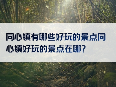 同心镇有哪些好玩的景点同心镇好玩的景点在哪？