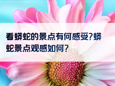 看蟒蛇的景点有何感受？蟒蛇景点观感如何？