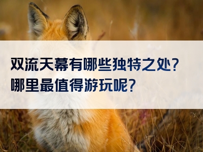 双流天幕有哪些独特之处？哪里最值得游玩呢？