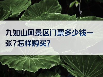 九如山风景区门票多少钱一张？怎样购买？