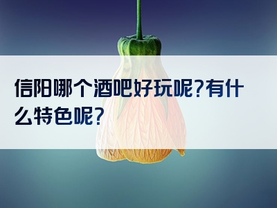 信阳哪个酒吧好玩呢？有什么特色呢？