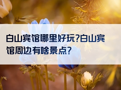白山宾馆哪里好玩？白山宾馆周边有啥景点？