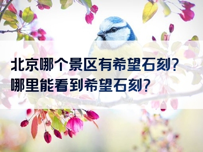 北京哪个景区有希望石刻？哪里能看到希望石刻？
