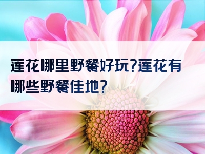 莲花哪里野餐好玩？莲花有哪些野餐佳地？