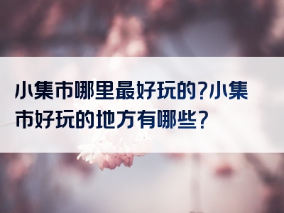 小集市哪里最好玩的？小集市好玩的地方有哪些？