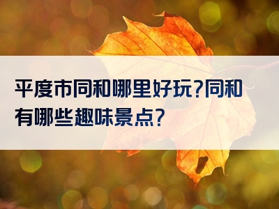 平度市同和哪里好玩？同和有哪些趣味景点？